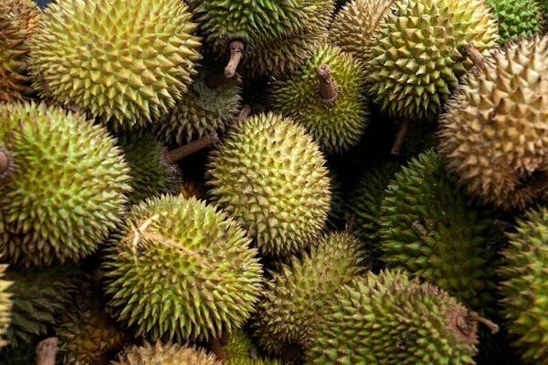 Discovering the Delicacies of Mao Shan Wang Durian